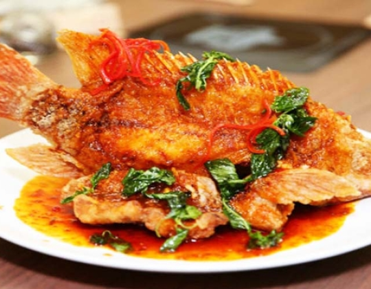 CÁ TAI TƯỢNG SỐT CHUA NGỌT