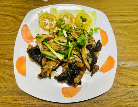 ẾCH CHIÊN NƯỚC MẮM